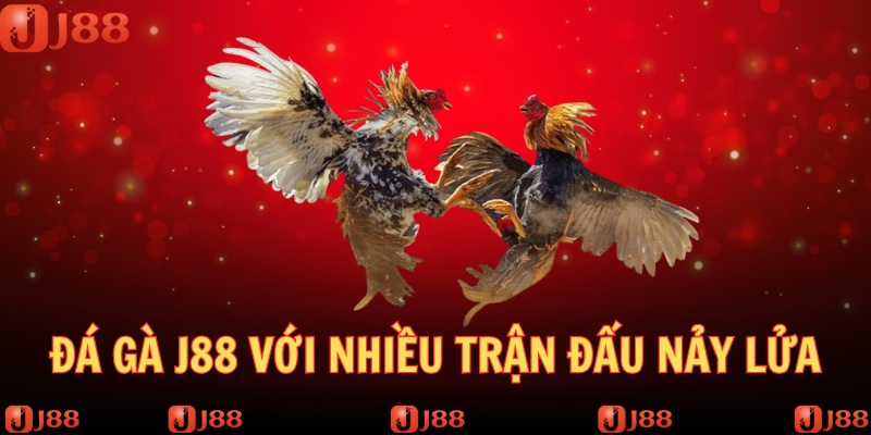 Chuyên mục đá gà sôi động bạn không nên bỏ lỡ