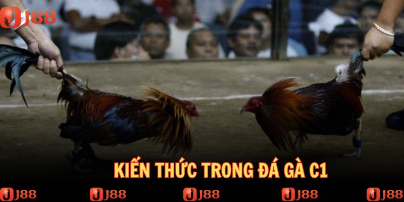 Người chơi cần nắm bắt các kiến thức căn bản trong bộ môn