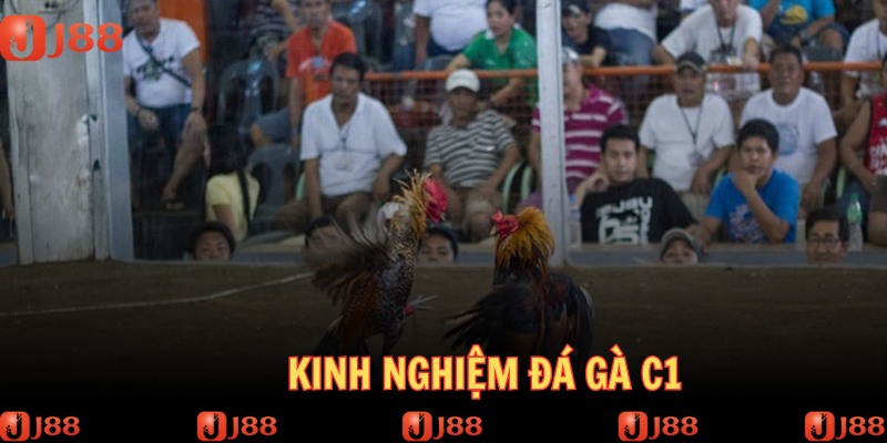 Kinh nghiệm chuẩn của cao thủ giúp bạn thắng lớn