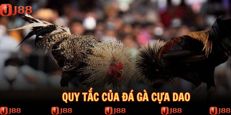 Quy tắc được nêu ra rõ ràng trong mọi trận đấu