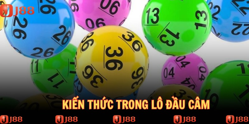 Rất nhiều cách thức bắt đầu cân hiệu quả của cao thủ 