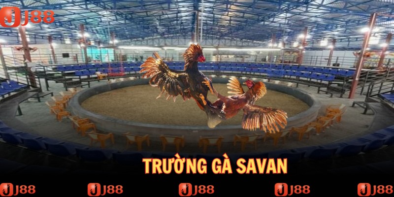 truong-ga-savan